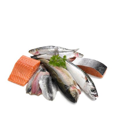 Fish